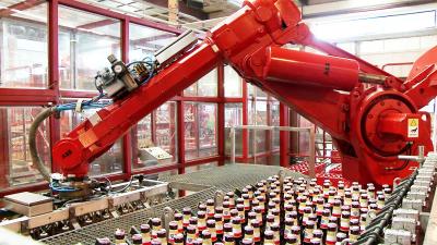 Bras de robot de palettisation