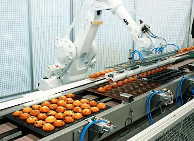 Principes fondamentaux de la robotique industrielle